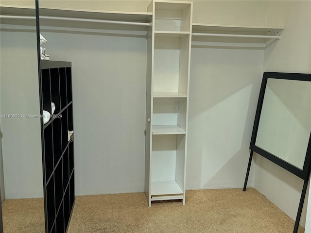 spacious closet with light colored carpet