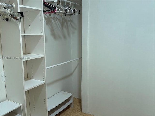 walk in closet featuring carpet