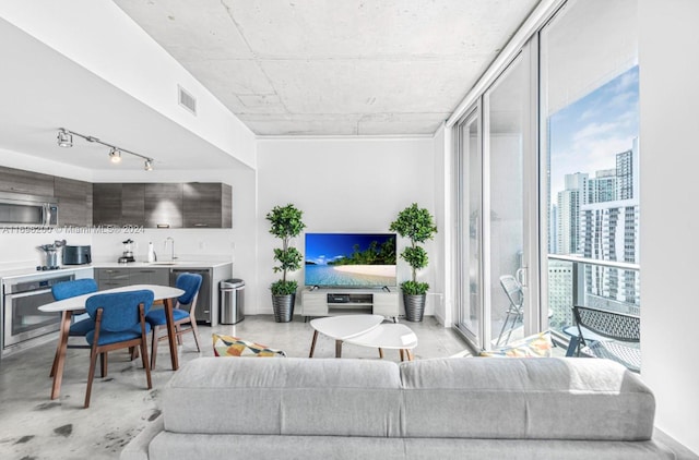 living room with sink and expansive windows