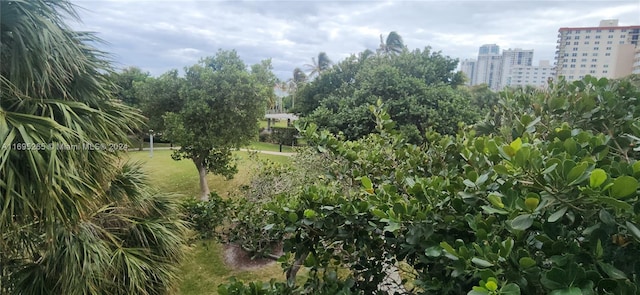 1201 S Ocean Dr Unit 304S, Hollywood, FL 33019 - view of undeveloped land featuring nearby urban area