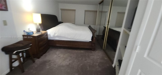 1201 S Ocean Dr Unit 304S, Hollywood, FL 33019 - carpeted bedroom featuring multiple closets