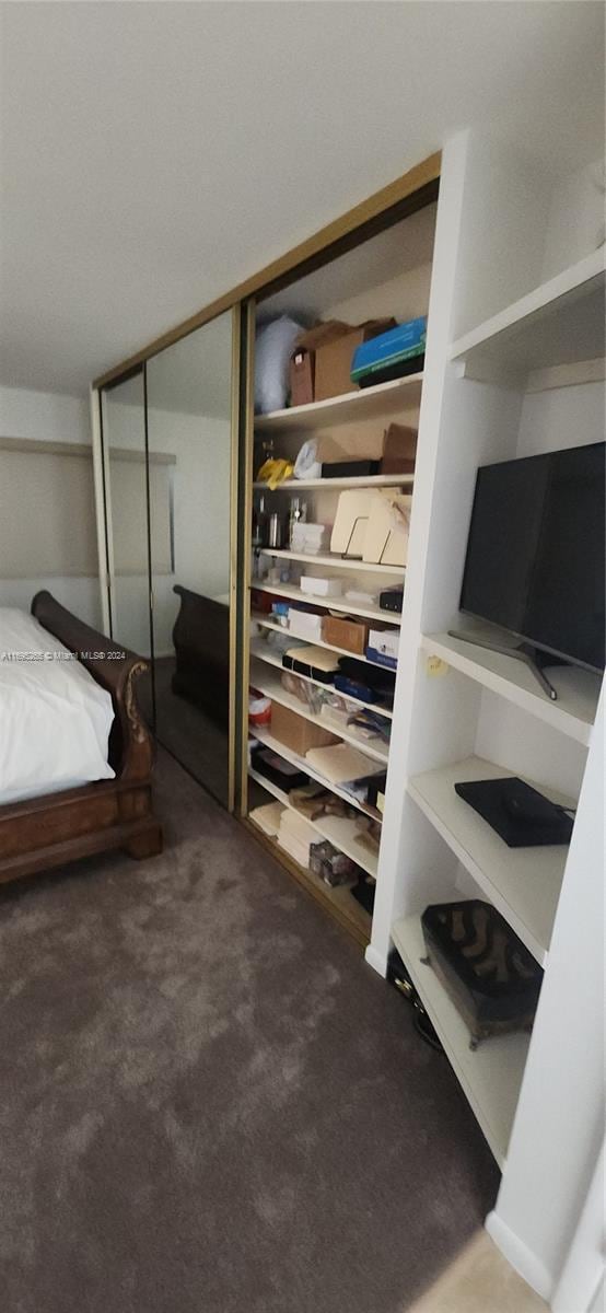 1201 S Ocean Dr Unit 304S, Hollywood, FL 33019 - carpeted bedroom with a closet