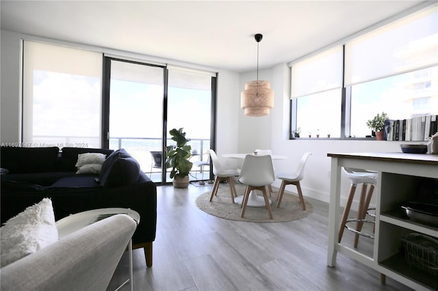 dining space with hardwood / wood-style floors and expansive windows