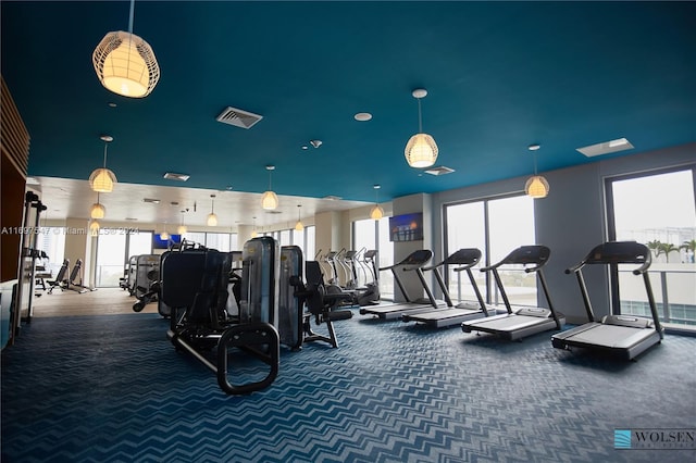 workout area featuring carpet flooring and a healthy amount of sunlight