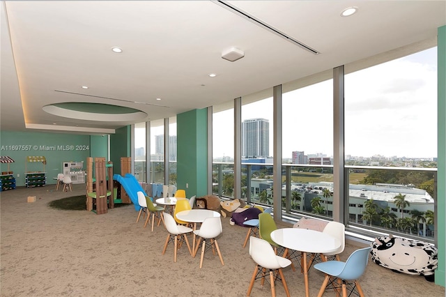 playroom featuring carpet, a wall of windows, and a healthy amount of sunlight