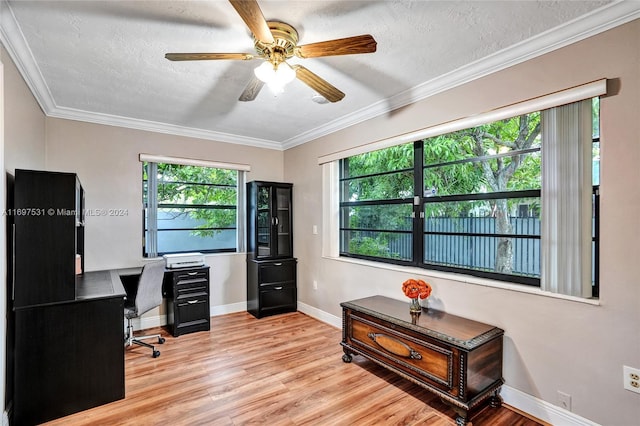 home office featuring ceiling fan, light hardwood / wood-style floors, crown molding, and a textured ceiling