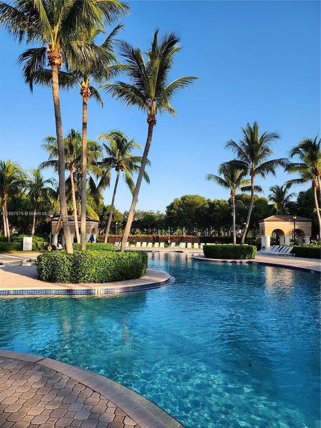 view of swimming pool