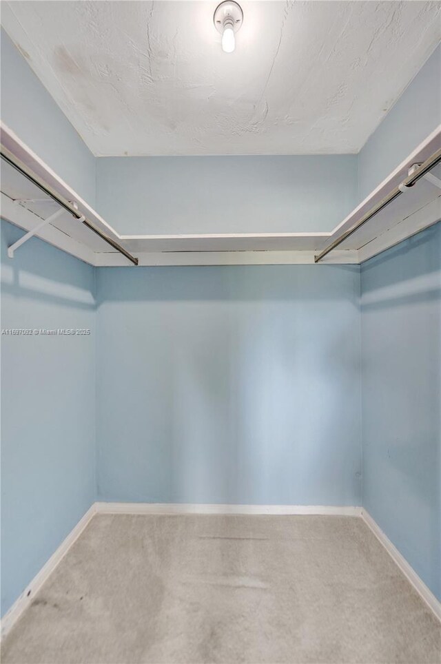 spacious closet featuring carpet