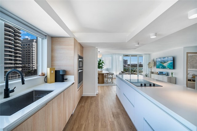 kitchen with black electric stovetop, light hardwood / wood-style flooring, light brown cabinetry, and sink