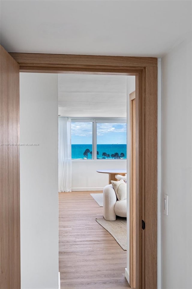 hallway featuring light hardwood / wood-style flooring