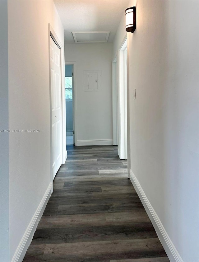 hallway featuring dark wood-type flooring