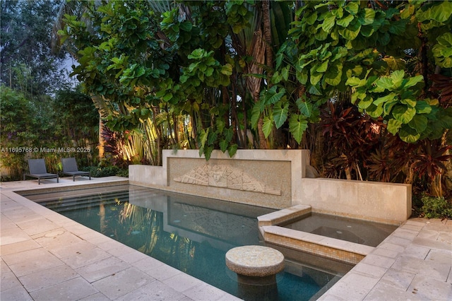 view of swimming pool with an in ground hot tub