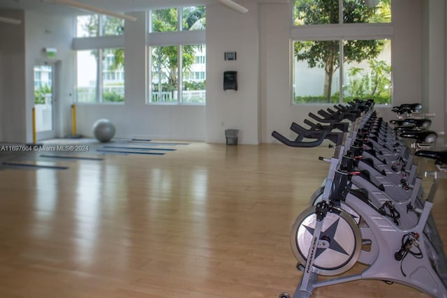 exercise room featuring light wood-type flooring