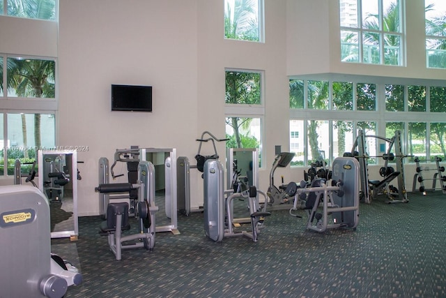 exercise room with carpet, a towering ceiling, and a healthy amount of sunlight