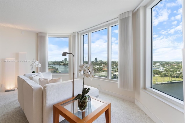 carpeted living room with plenty of natural light and a water view