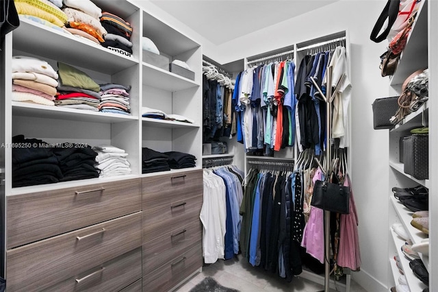 view of spacious closet