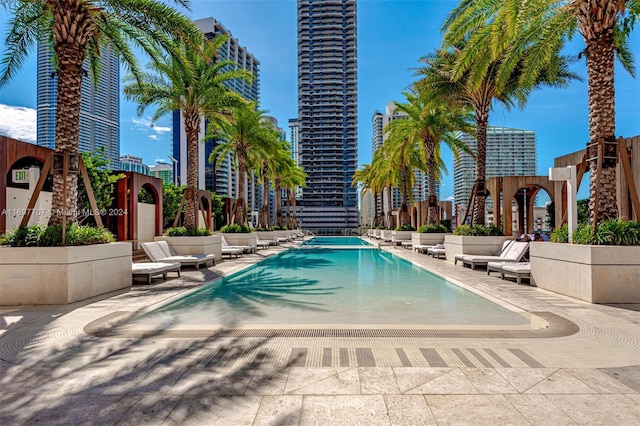 view of swimming pool featuring a patio