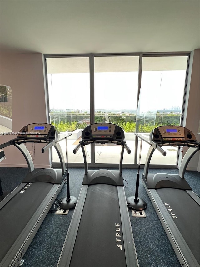 exercise room with a wealth of natural light