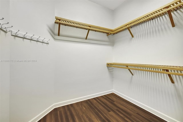 walk in closet featuring wood-type flooring