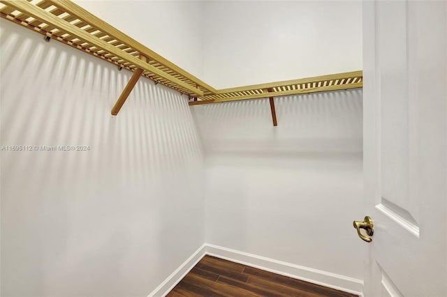 spacious closet featuring dark hardwood / wood-style floors