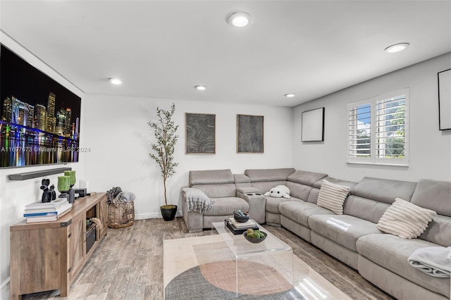 living room with hardwood / wood-style floors