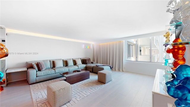 living room featuring light hardwood / wood-style floors