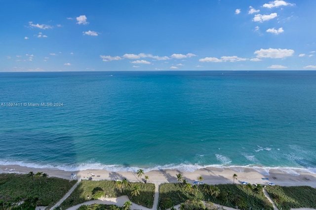 water view with a view of the beach