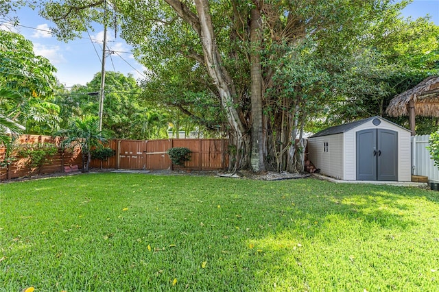 view of yard featuring a shed