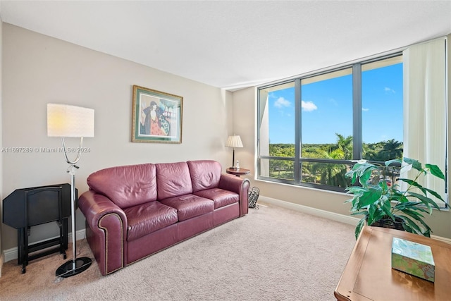 living room with carpet flooring