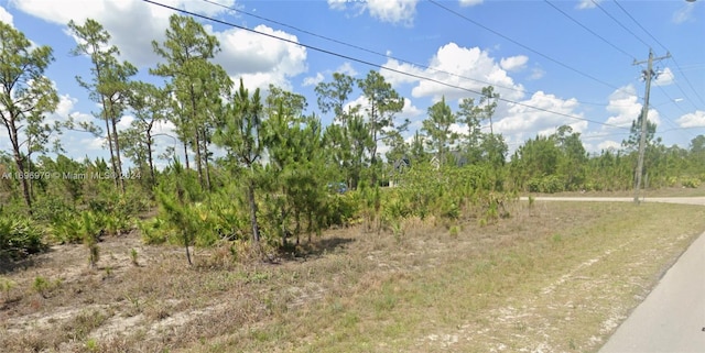 Listing photo 3 for 3007 E 10th St, Lehigh Acres FL 33972