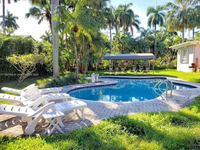 view of swimming pool with a patio area