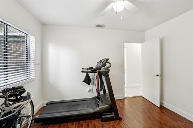 exercise room with dark hardwood / wood-style floors and ceiling fan