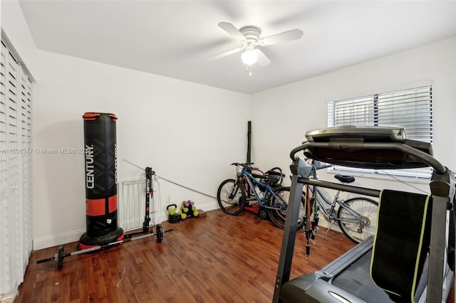 exercise room featuring wood-type flooring and ceiling fan