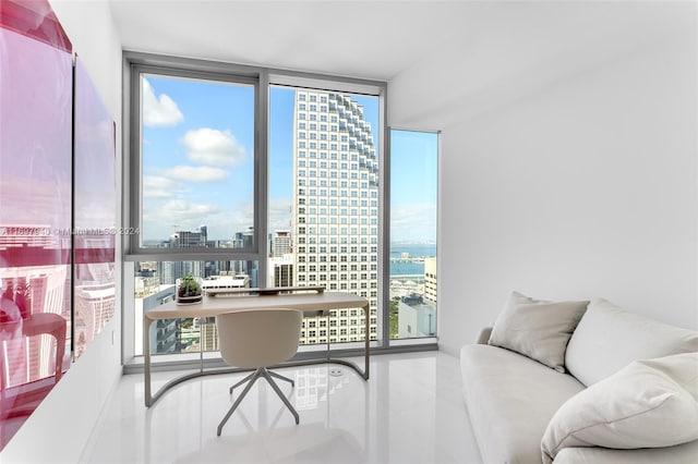 interior space featuring a healthy amount of sunlight and a wall of windows