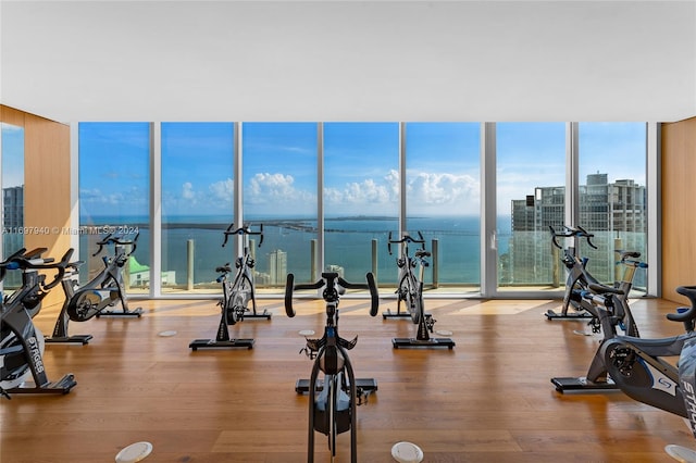 workout area featuring hardwood / wood-style flooring, a wall of windows, and a water view