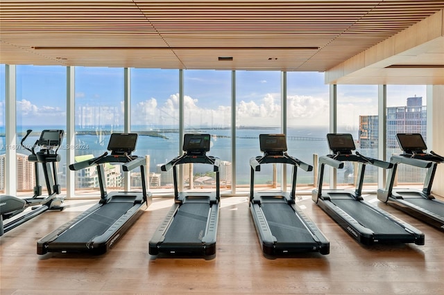 workout area featuring floor to ceiling windows, a water view, and wood-type flooring