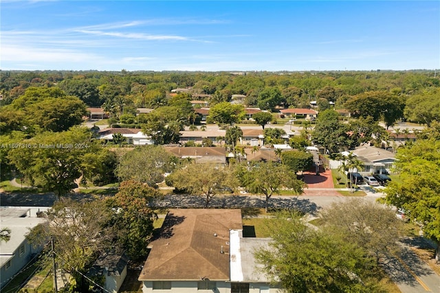 bird's eye view