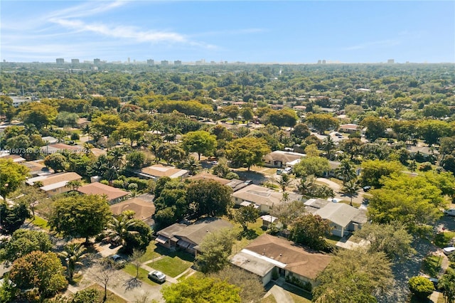 bird's eye view