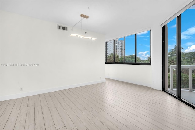 empty room with a wealth of natural light and light hardwood / wood-style flooring