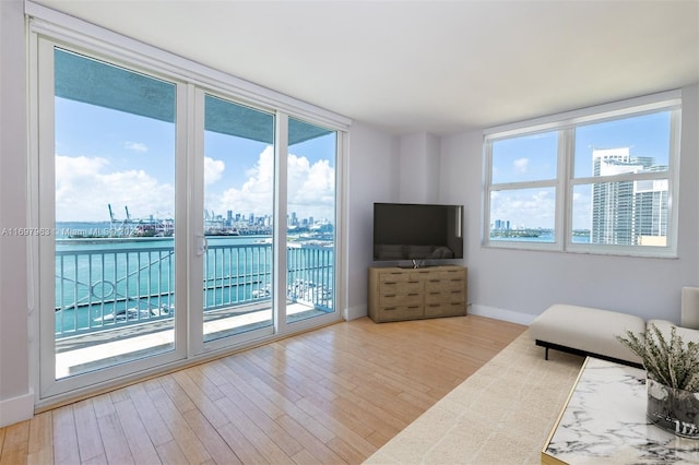 unfurnished living room featuring light wood-type flooring and a wealth of natural light