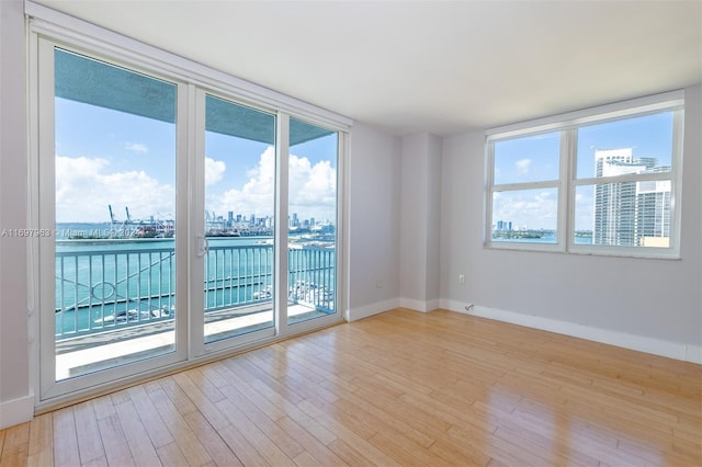 empty room with a water view, light wood-type flooring, and a wealth of natural light