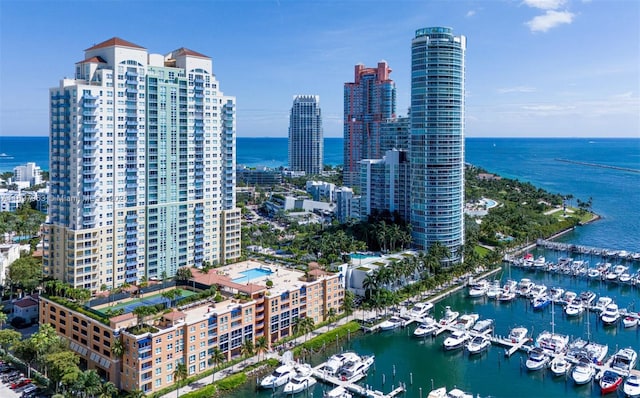 bird's eye view with a water view