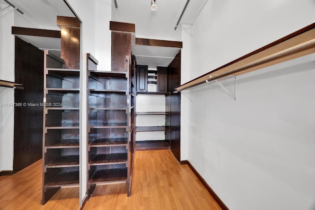 spacious closet featuring light wood-type flooring