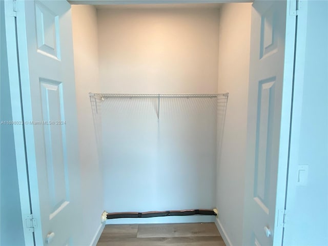 walk in closet with light wood-type flooring