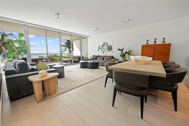 dining room featuring light hardwood / wood-style floors and expansive windows