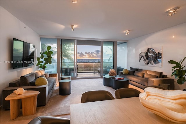 living room featuring light colored carpet and a wall of windows