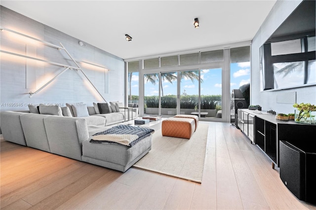 living room featuring light hardwood / wood-style floors