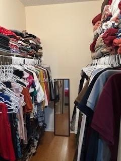 spacious closet featuring hardwood / wood-style floors