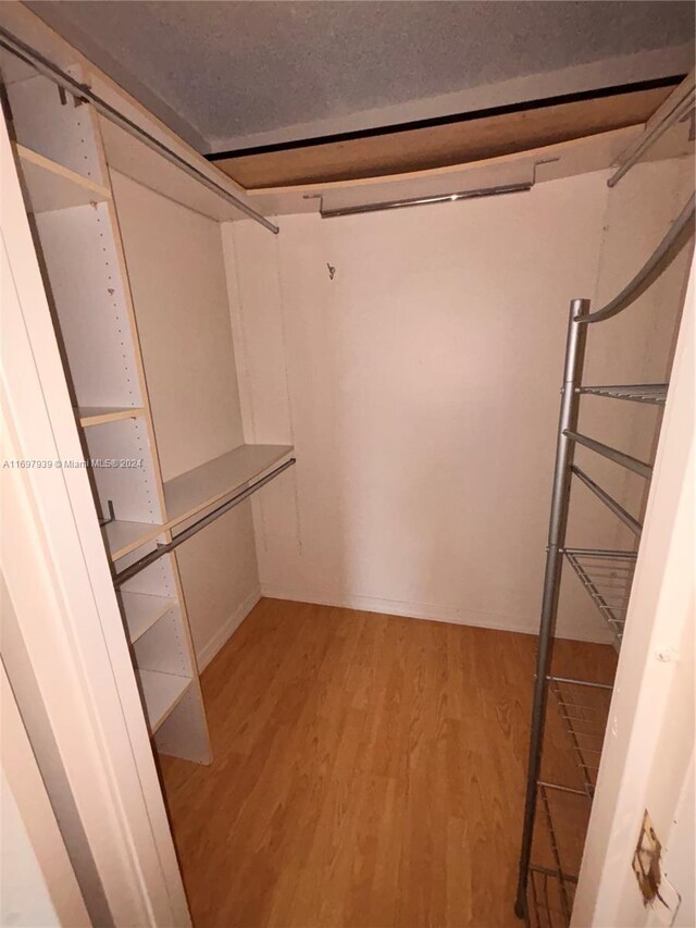 spacious closet featuring light hardwood / wood-style flooring