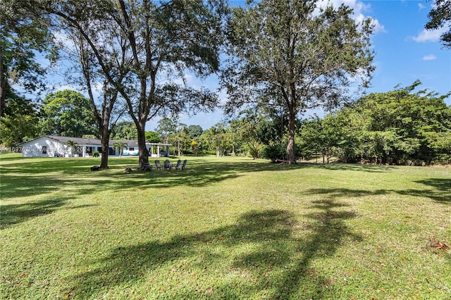 view of yard